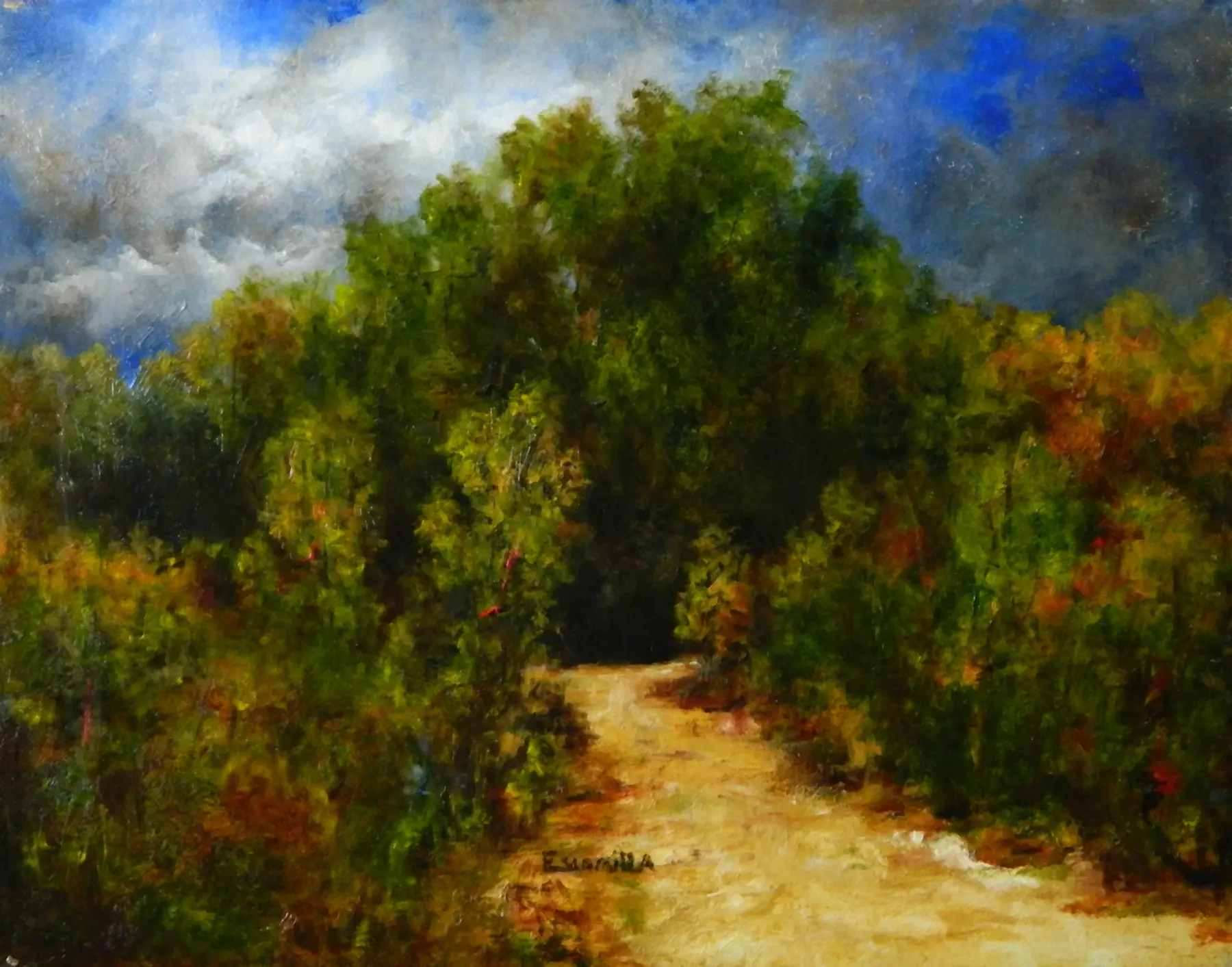 Path into Forrest by Alberto Escamilla