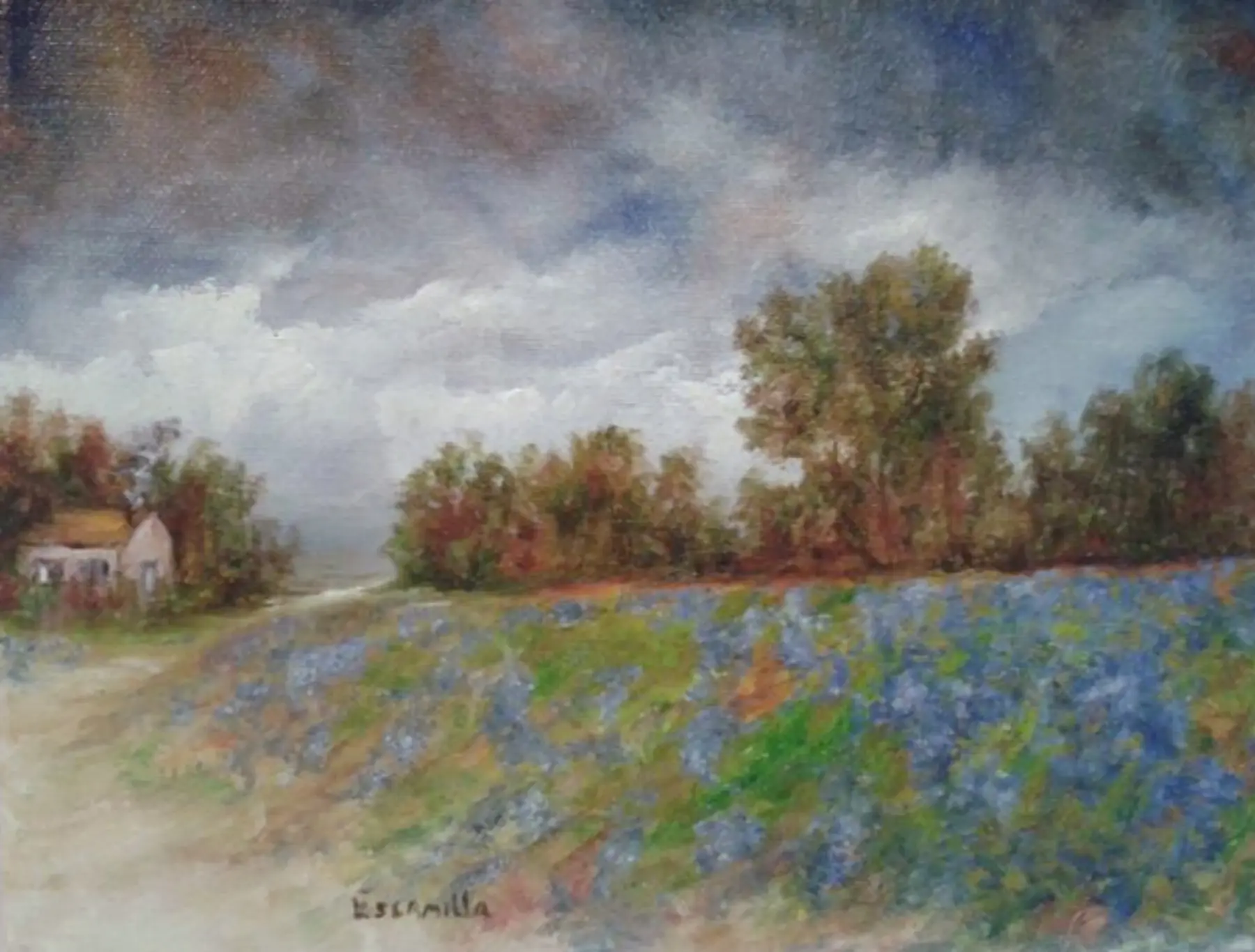 Storm Over Blue Bonnets by Alberto Escamilla