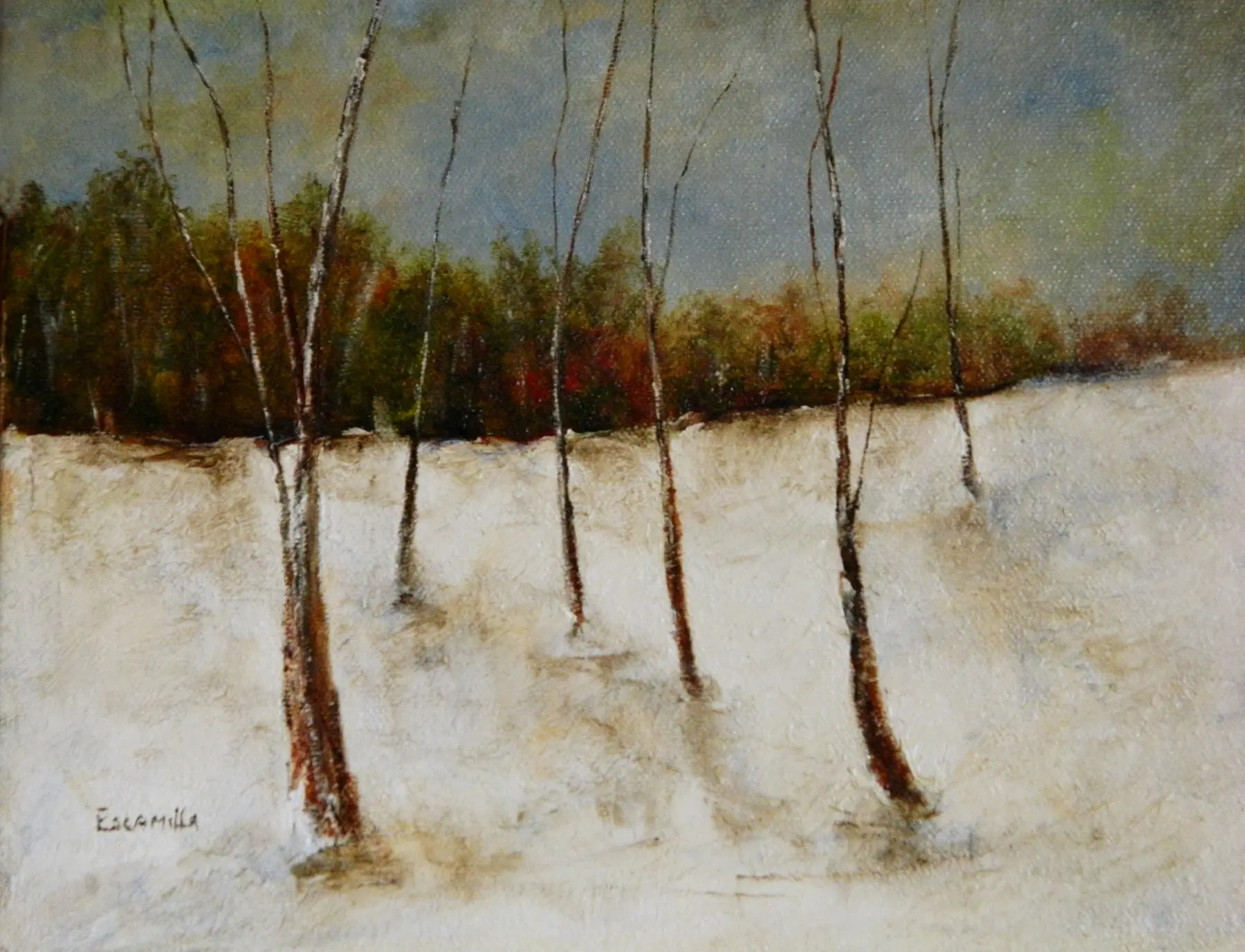 Fall Snow with Barren Trees by Alberto Escamilla