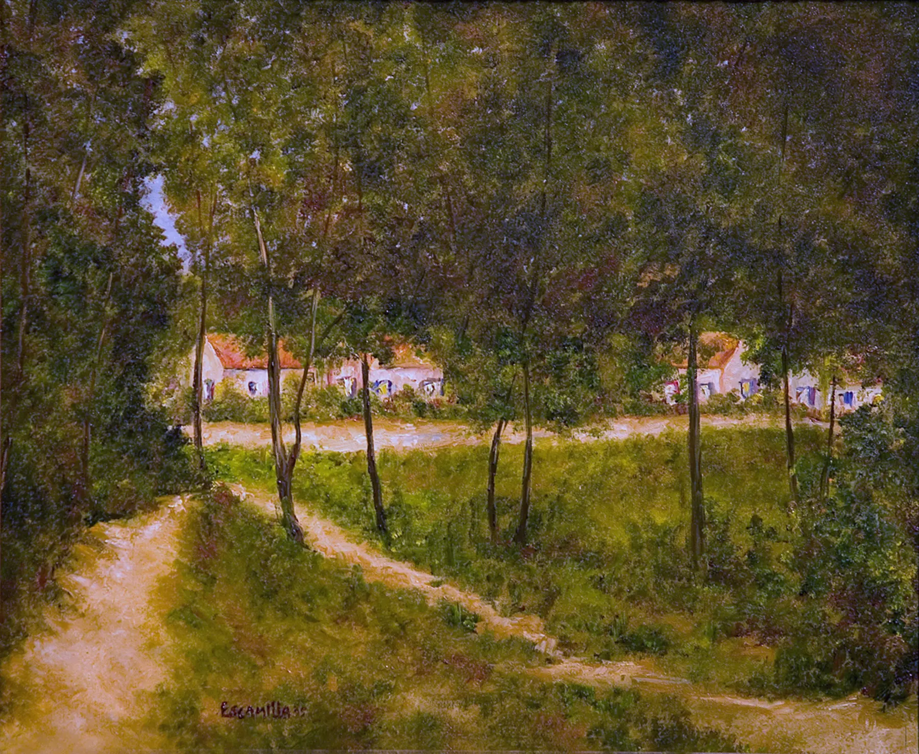 Forrest Back Road by Alberto Escamilla