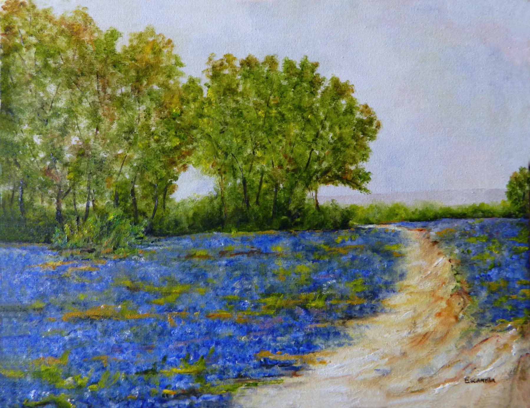 Blue Bonnets by Alberto Escamilla