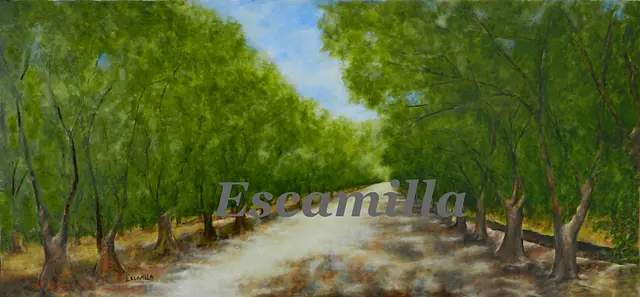 Pecan Grove by Alberto Escamilla