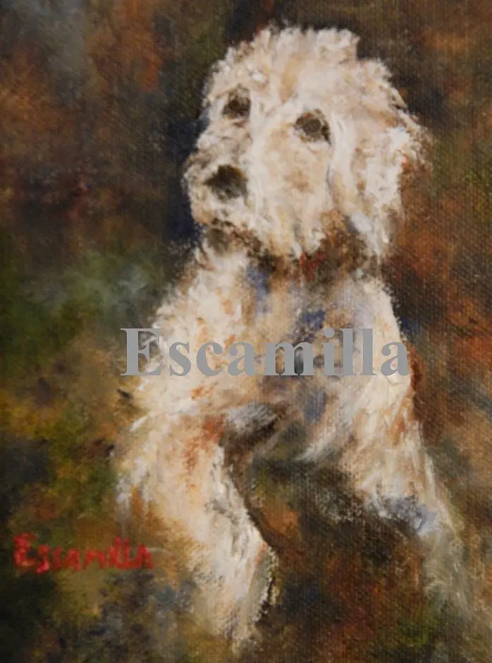 Monet our Pet by Alberto Escamilla