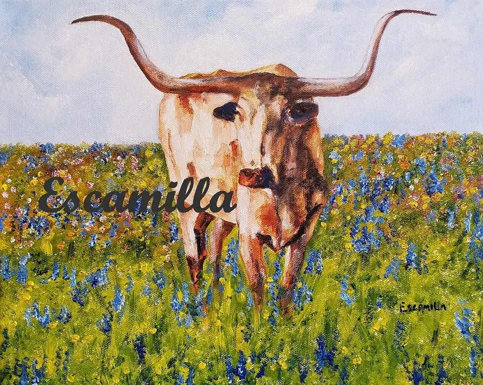 Texas Longhorn by Alberto Escamilla