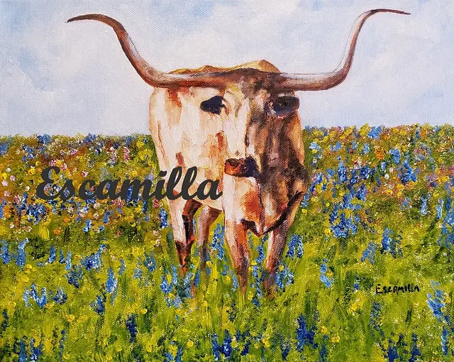 Texas Longhorn by Alberto Escamilla