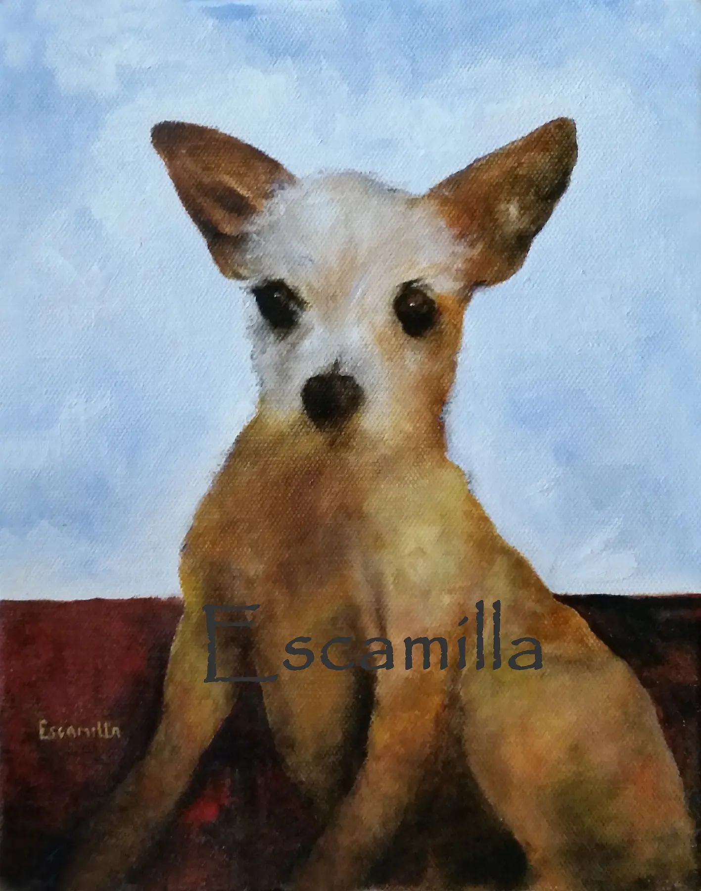 Chihuahua Pet by Alberto Escamilla