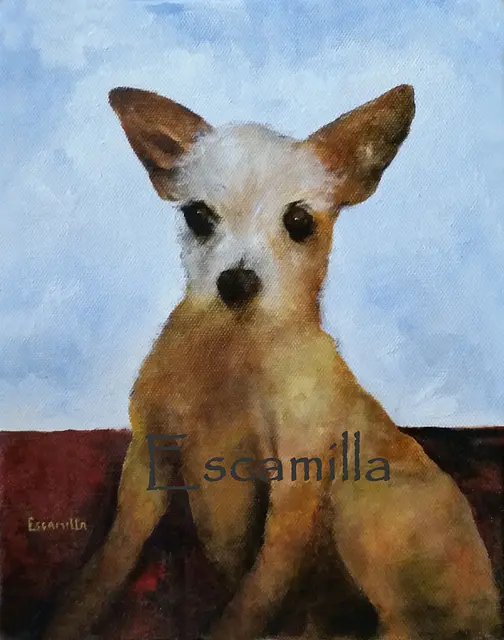 Chihuahua Pet by Alberto Escamilla