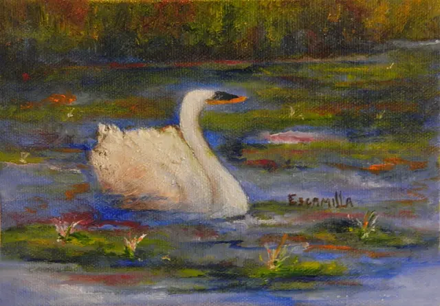 Swan in Lily Pond by Alberto Escamilla