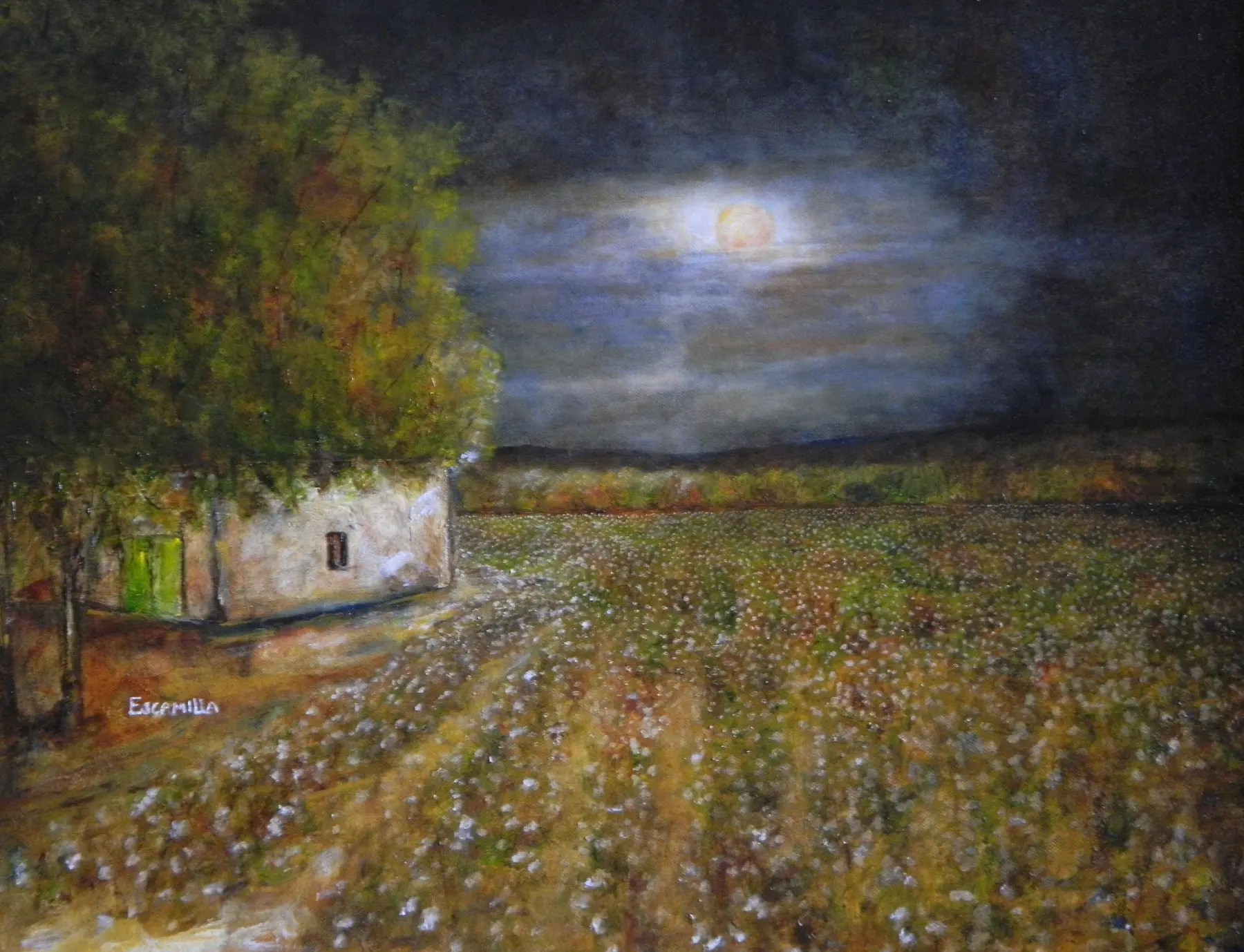 Moonlight Over Socorro Cotton Field by Alberto Escamilla