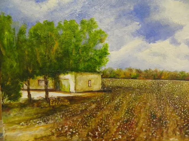 Socorro Cotton Field by Alberto Escamilla