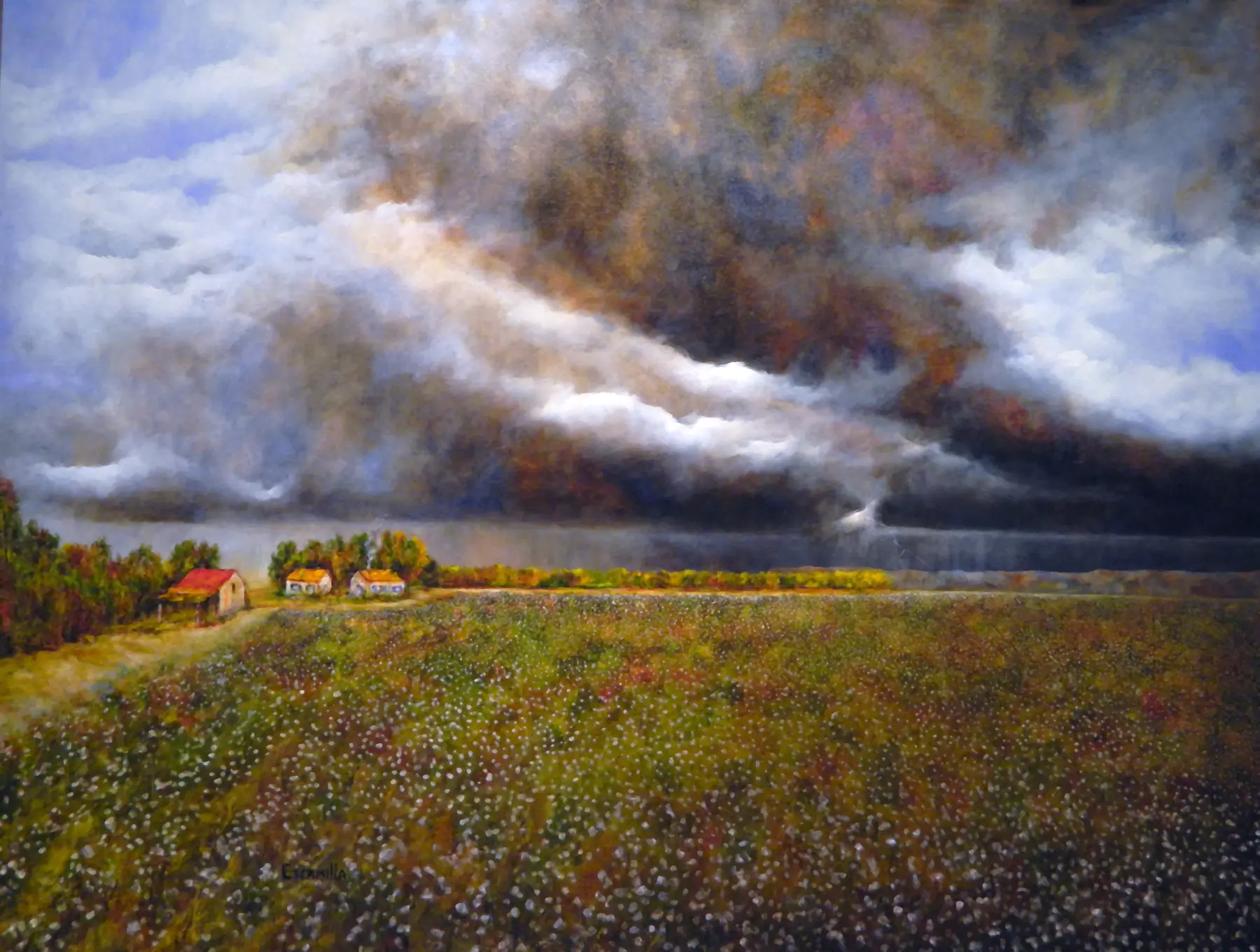 Storm Coming Over Cotton Field by Alberto Escamilla