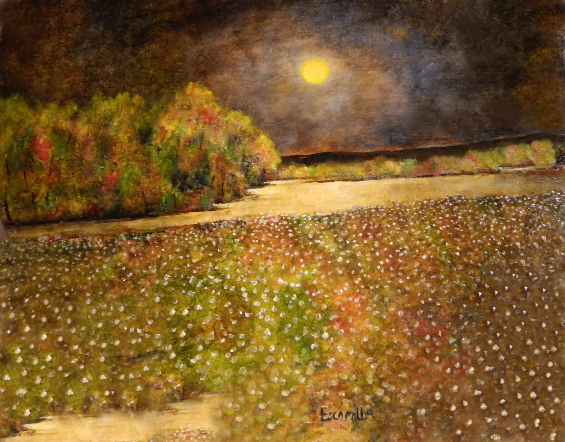 Moonlight OVer the Cotton Field Heart by Alberto Escamilla