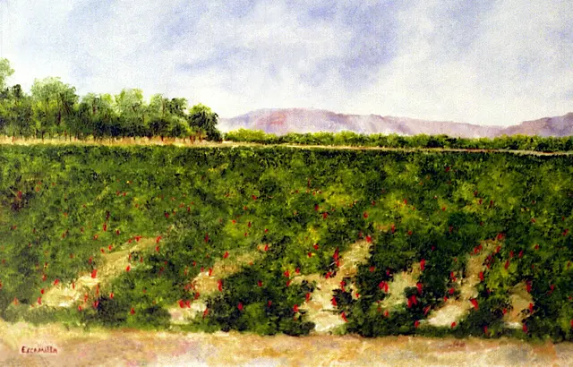 Red Chile Field by Alberto Escamilla