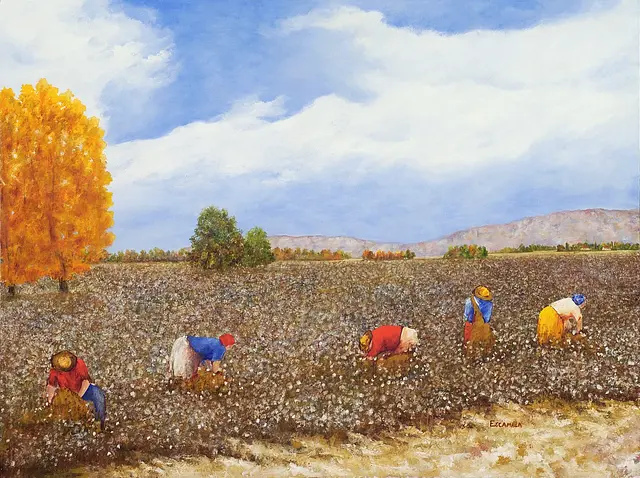 Cotton Field with Fall Tree by Alberto Escamilla
