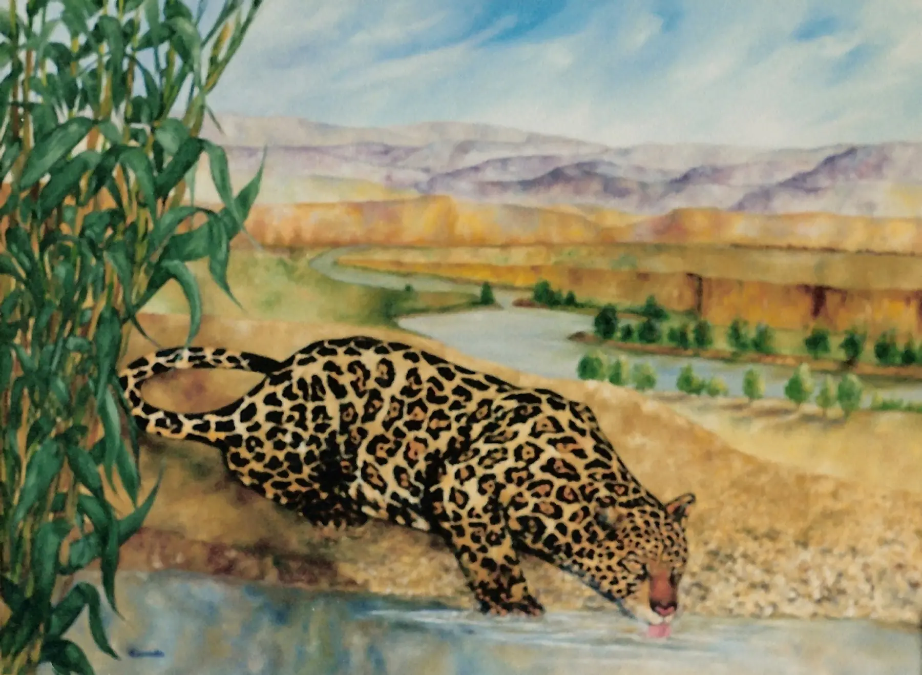 Jaguar for Cormac by Alberto Escamilla