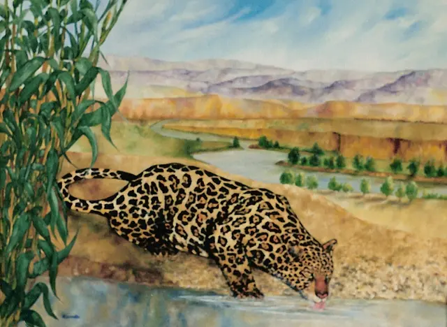 Jaguar for Cormac by Alberto Escamilla