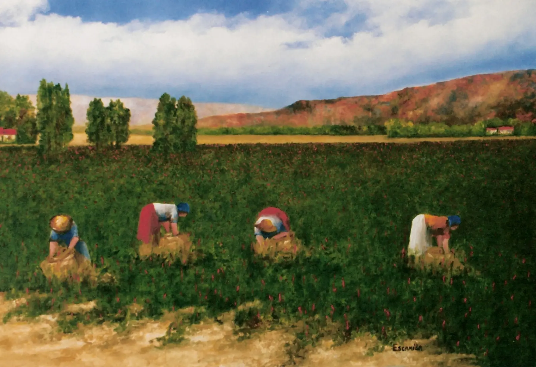 Red Chile Pickers by Alberto Escamilla