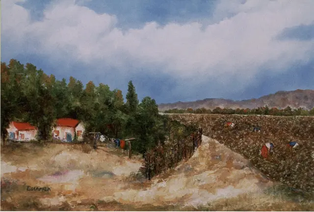 Side Cotton Field by Alberto Escamilla