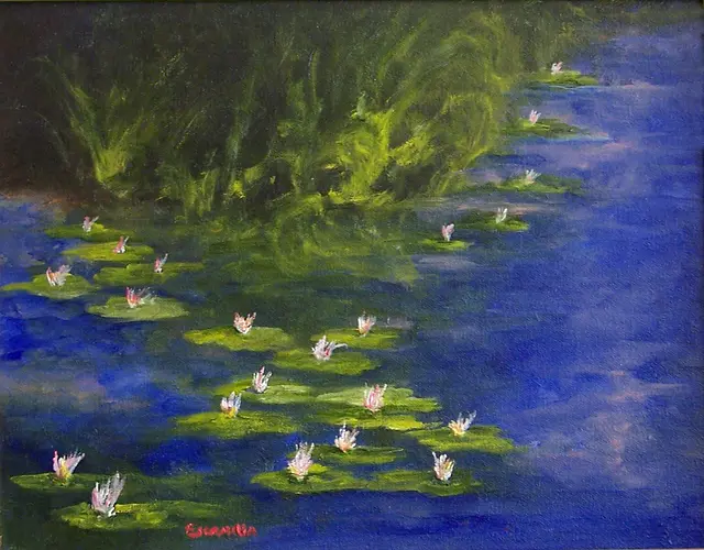 White Water Lilies by Alberto Escamilla