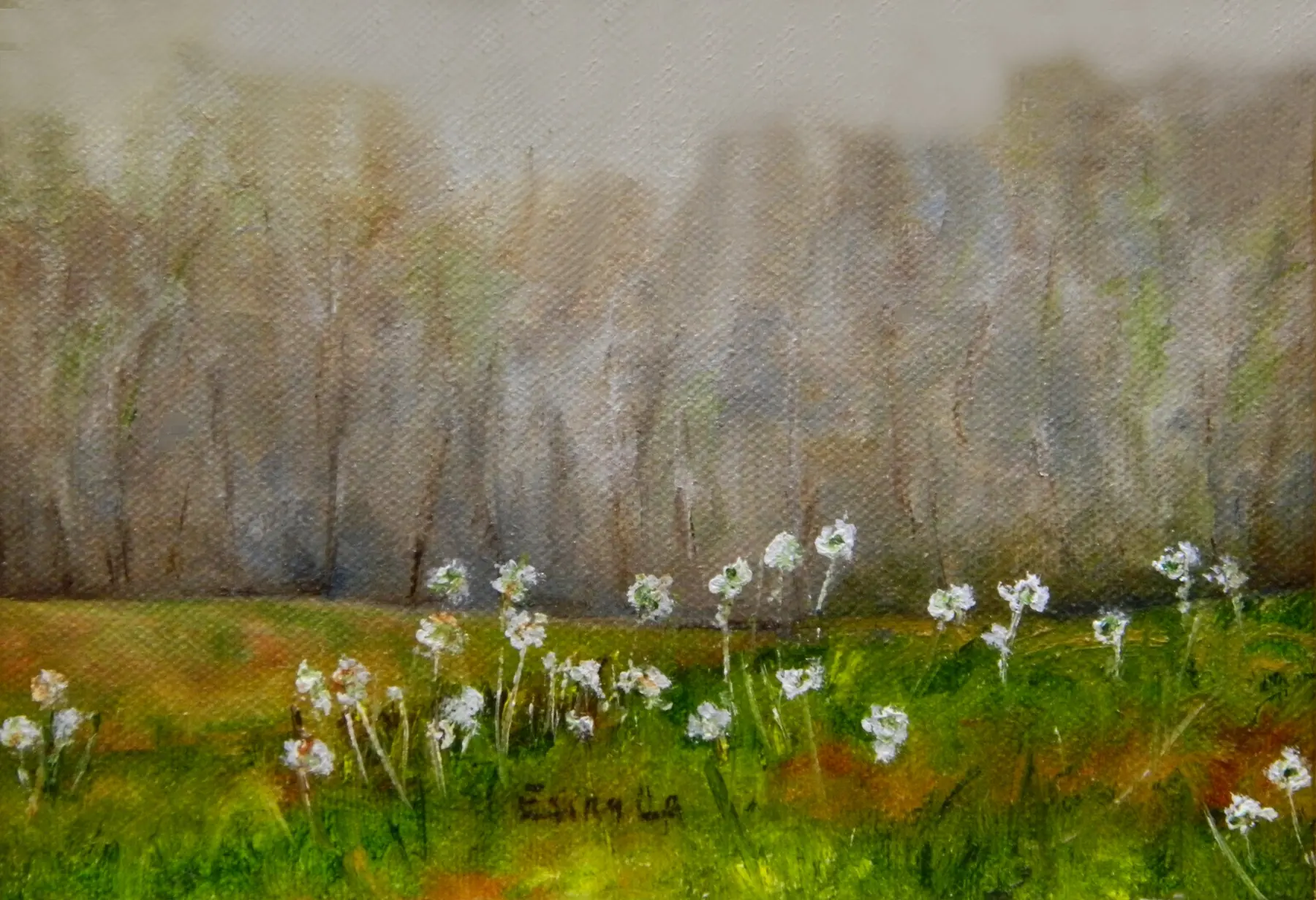 Dandelions by Alberto Escamilla